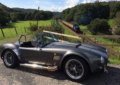 Cobra replica out in the countryside