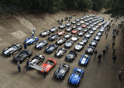 European Cobra meeting