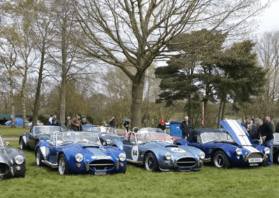 Cobra replicas at a replica car event