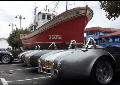 Cobra replicas at an event meetup