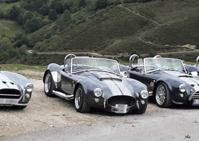 Cobra replica meetup