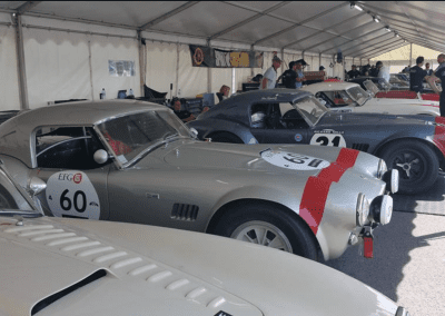 Cobra replicas parked at an event meet